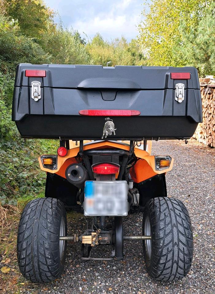 Kymco Daelim ET Quad 250 ATV Kymco MXU 300 TGB Cfmoto Adly Beeline 2007 — photo 6