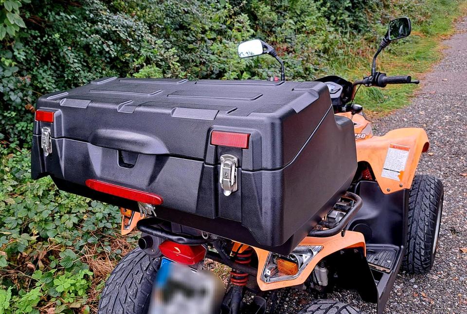 Kymco Daelim ET Quad 250 ATV Kymco MXU 300 TGB Cfmoto Adly Beeline 2007 — photo 7