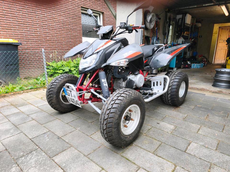  Quad Triton Baja 300R 2012 — вигляд ззаду