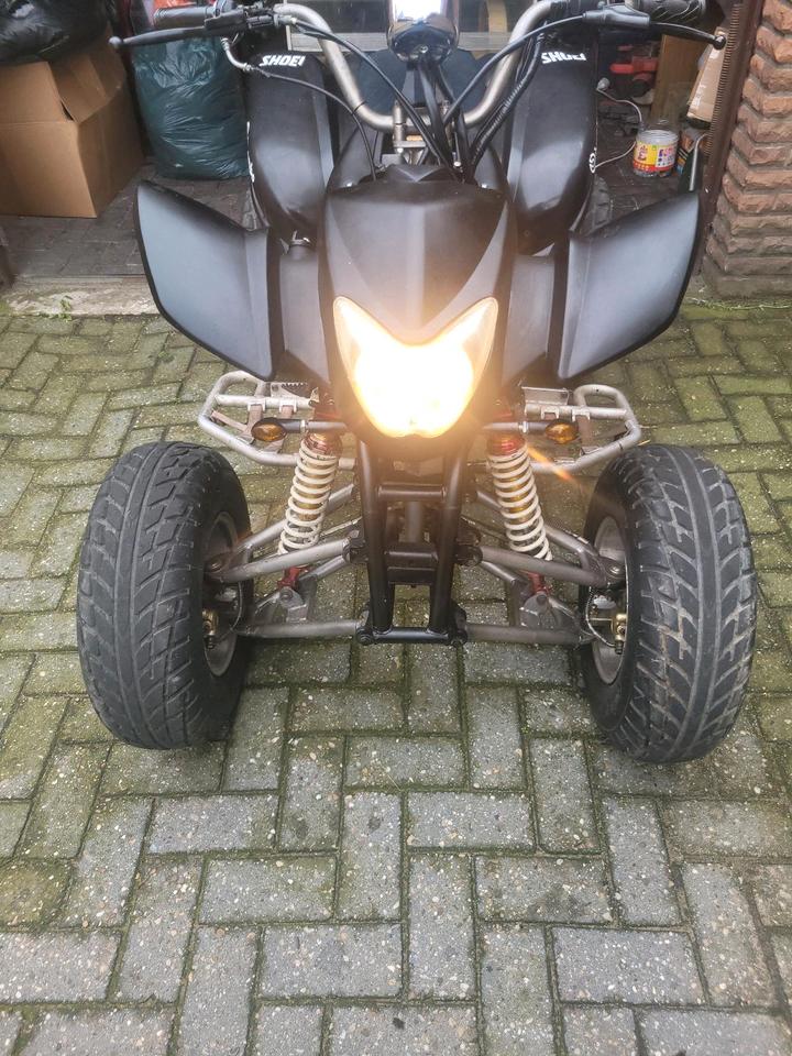 Weitere Motorräder Quad Eagle Motorsports LYDa203 250 ccm, 2008