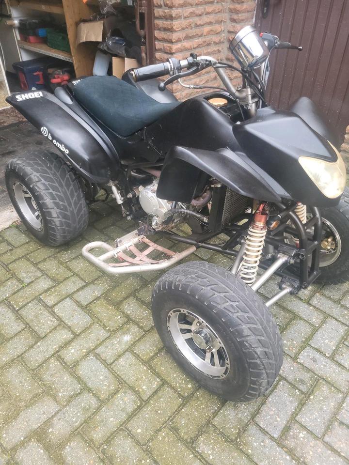 Weitere Motorräder Quad Eagle Motorsports LYDa203 250 ccm 2008 — вигляд ззаду