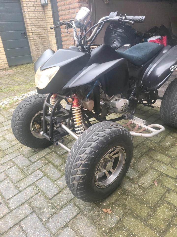 Weitere Motorräder Quad Eagle Motorsports LYDa203 250 ccm 2008 — салон
