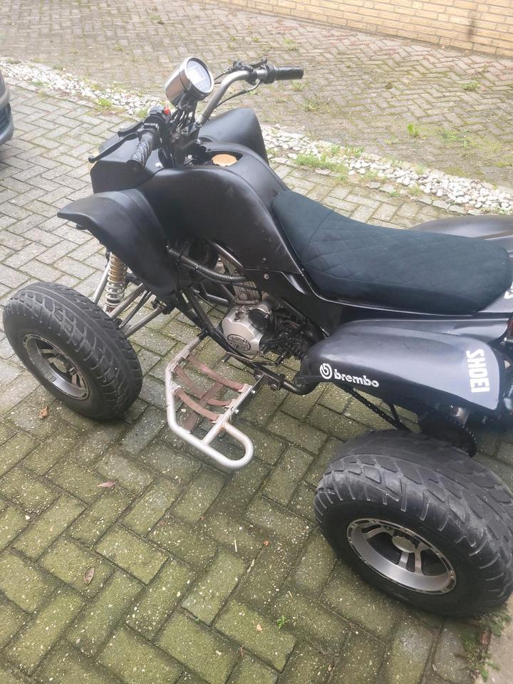 Weitere Motorräder Quad Eagle Motorsports LYDa203 250 ccm 2008 — двигун 250 ccm