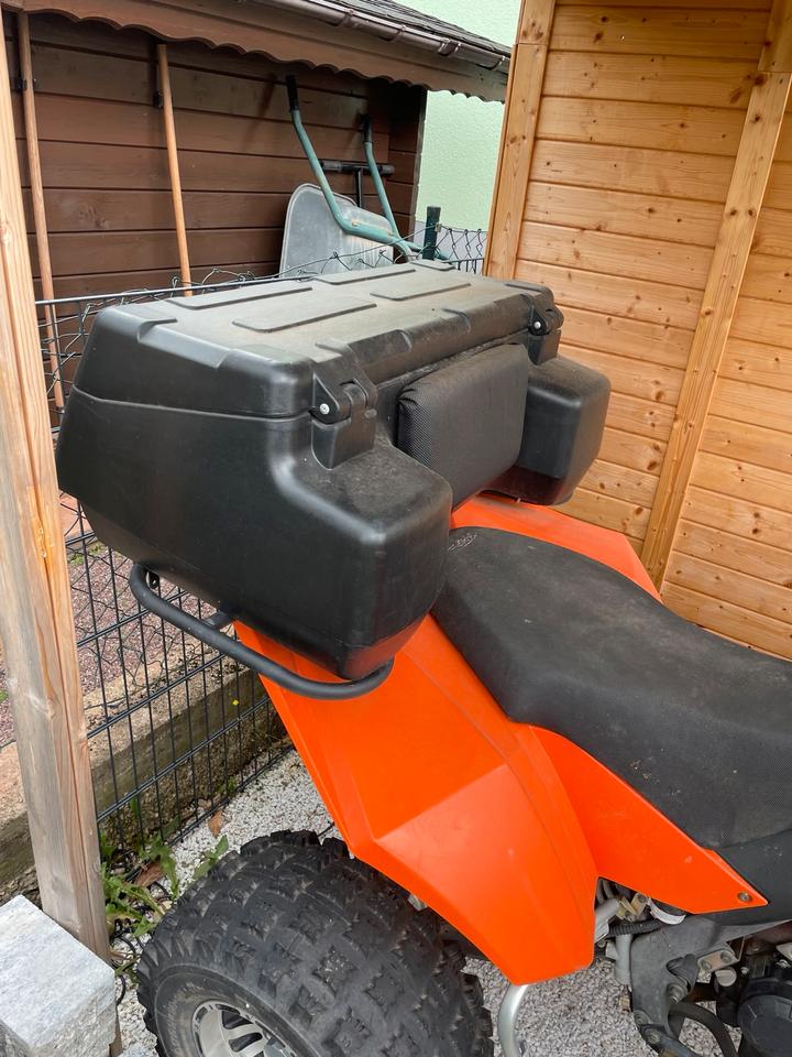 Weitere Motorräder EGL Mad Max / Eagle Lyda 203 E-3 2015 — engine 250 ccm
