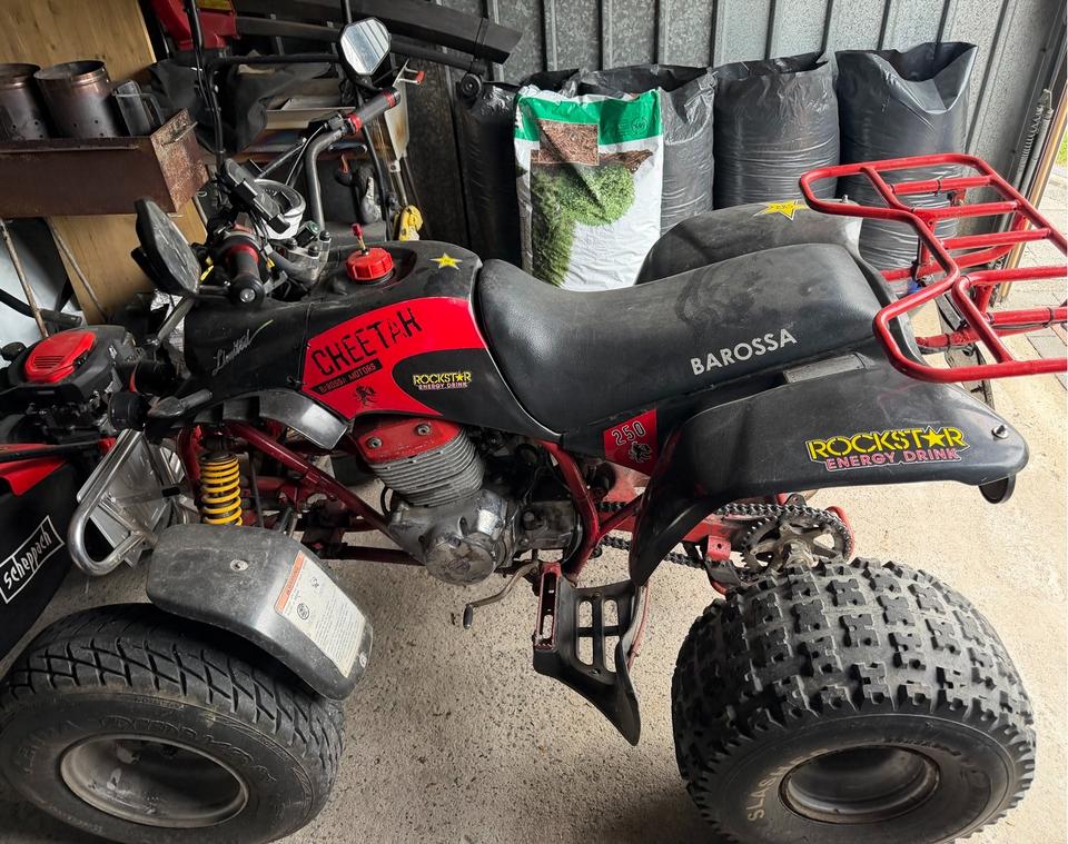 Weitere Motorräder Quad Barossa Cheetah 250ccm, 2004