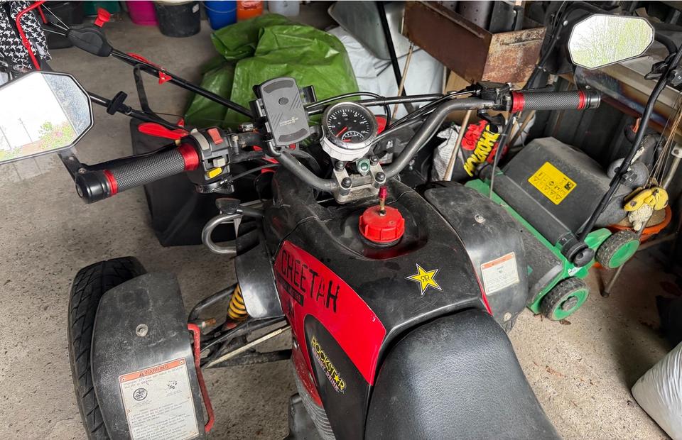Weitere Motorräder Quad Barossa Cheetah 250ccm 2004 — салон