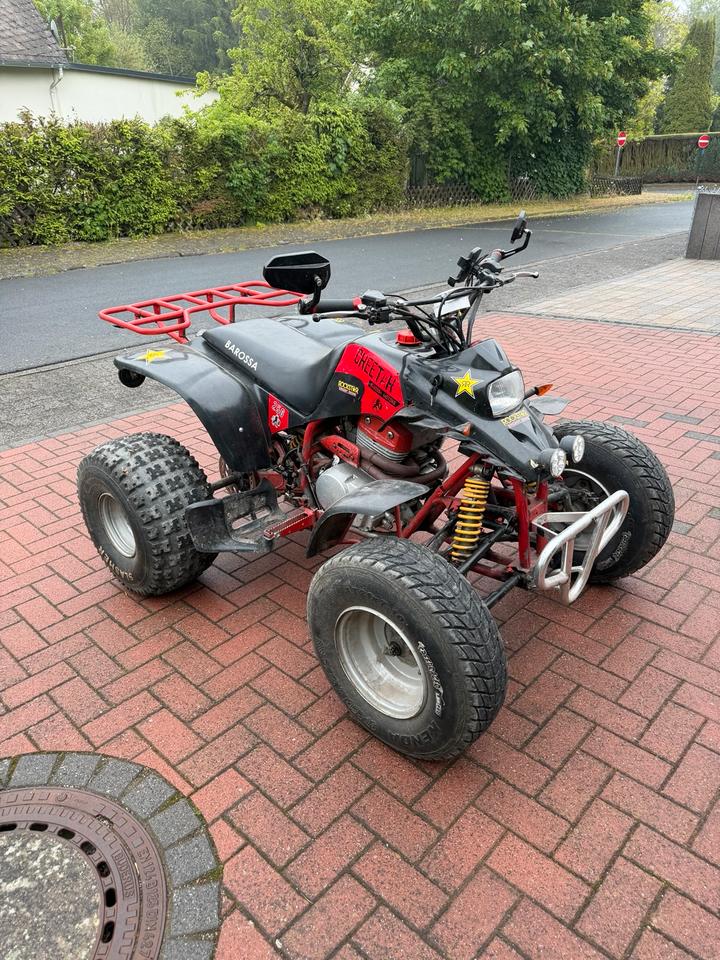 Weitere Motorräder Quad Barossa Cheetah 250ccm 2004 — двигун 250 ccm