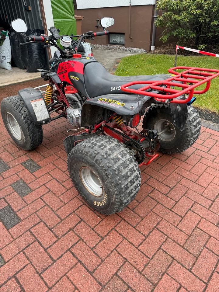 Weitere Motorräder Quad Barossa Cheetah 250ccm 2004 — фото 6
