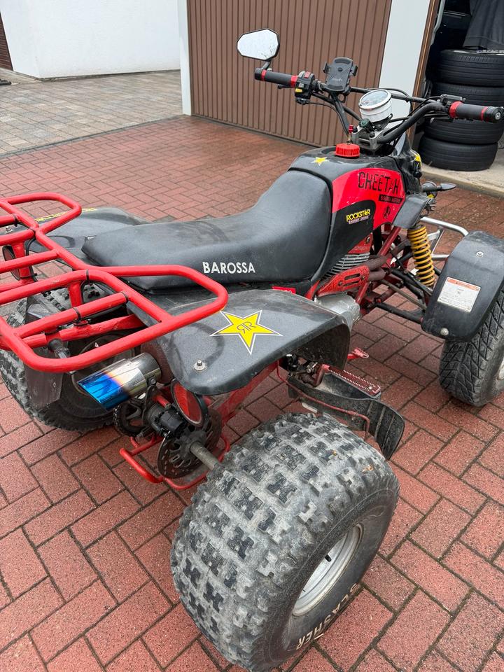 Weitere Motorräder Quad Barossa Cheetah 250ccm 2004 — фото 7