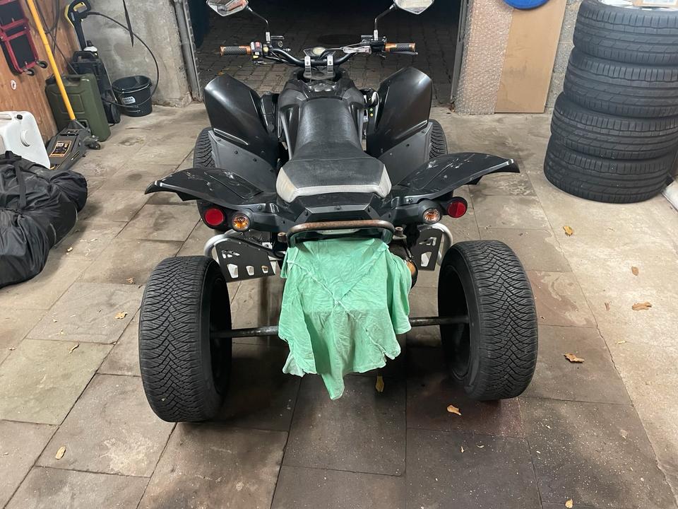 Weitere Motorräder Adly 320 S 2011 — photo 18