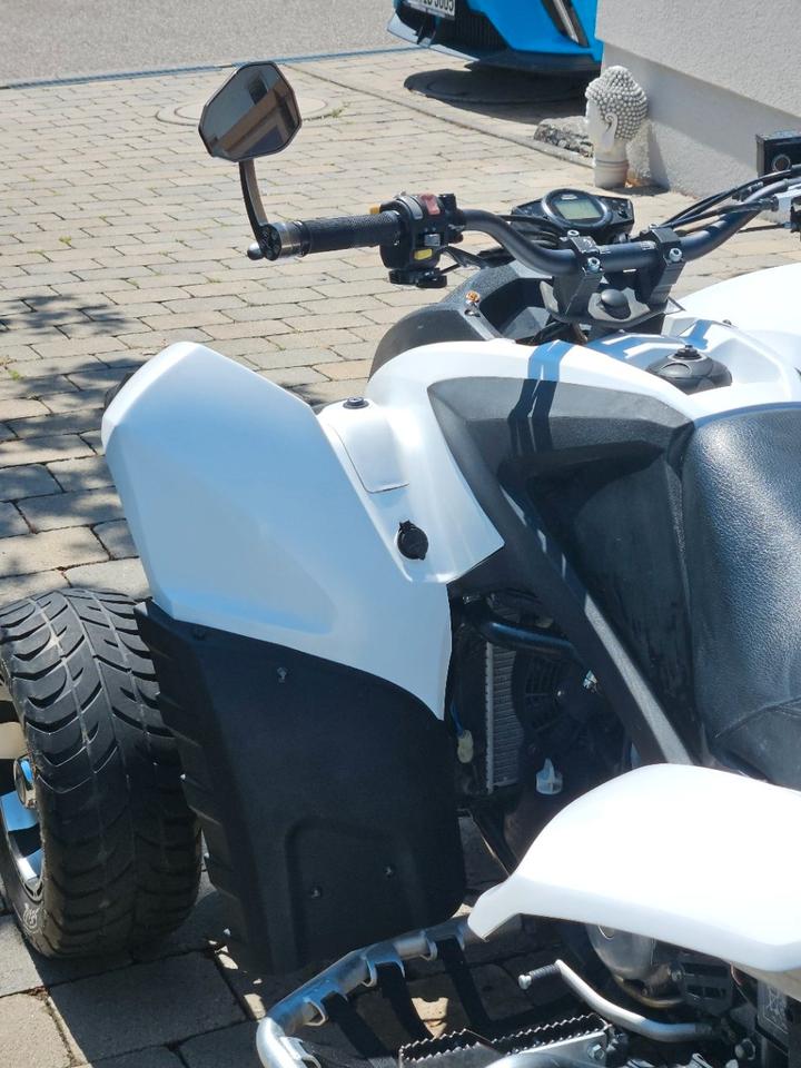 Weitere Motorräder Adly 500 SM – 50 PS – gepflegt – Großer Service 2014 — photo 16
