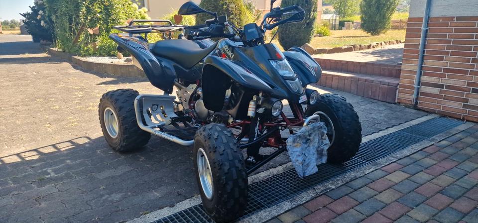 Suzuki Gelöscht • Suzuki LTZ 400 mit Umbau aus Qaudsport -TOP- Festpreis-Top-Auss!! 2007 — rear view