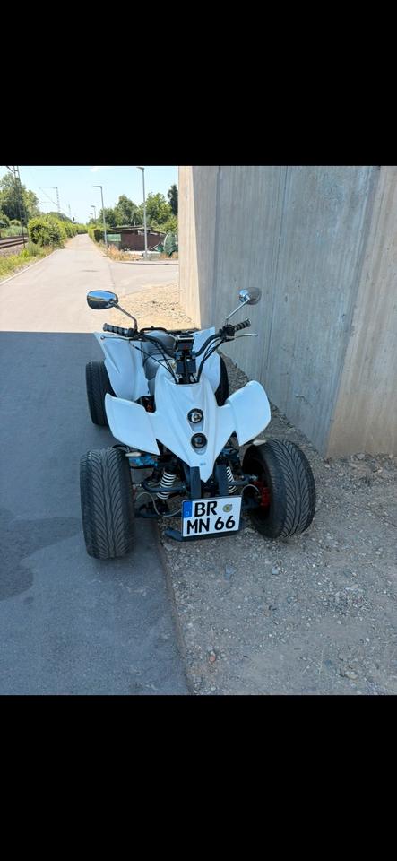 Weitere Motorräder Zensus Quad 250ccm 2010 — rear view