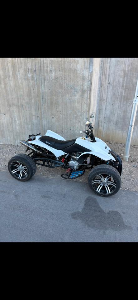Weitere Motorräder Zensus Quad 250ccm 2010 — interior