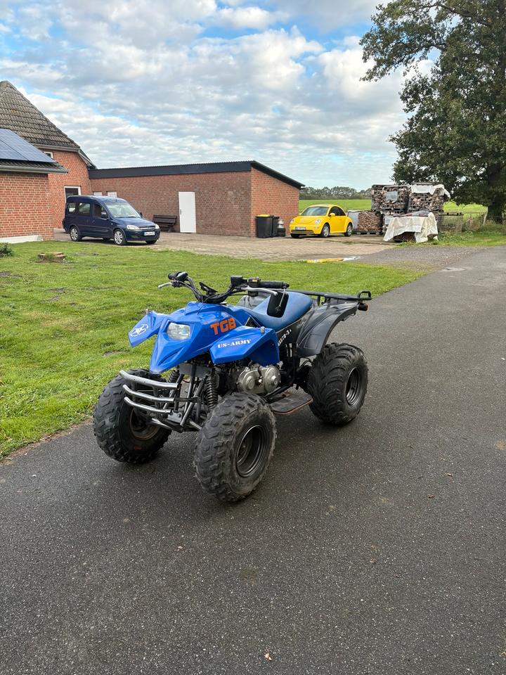 Weitere Motorräder Pegasus TGB Hornet 50ccm Quad ATV Mit Papiere Klasse AM, 2004
