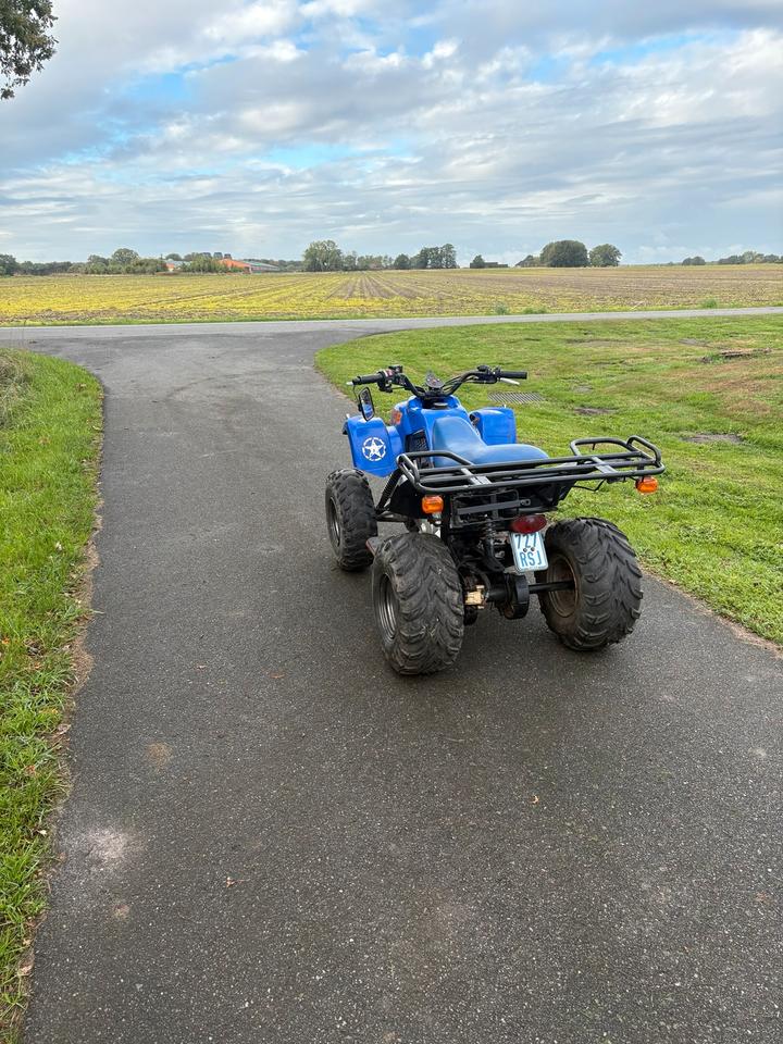 Weitere Motorräder Pegasus TGB Hornet 50ccm Quad ATV Mit Papiere Klasse AM 2004 — rear view