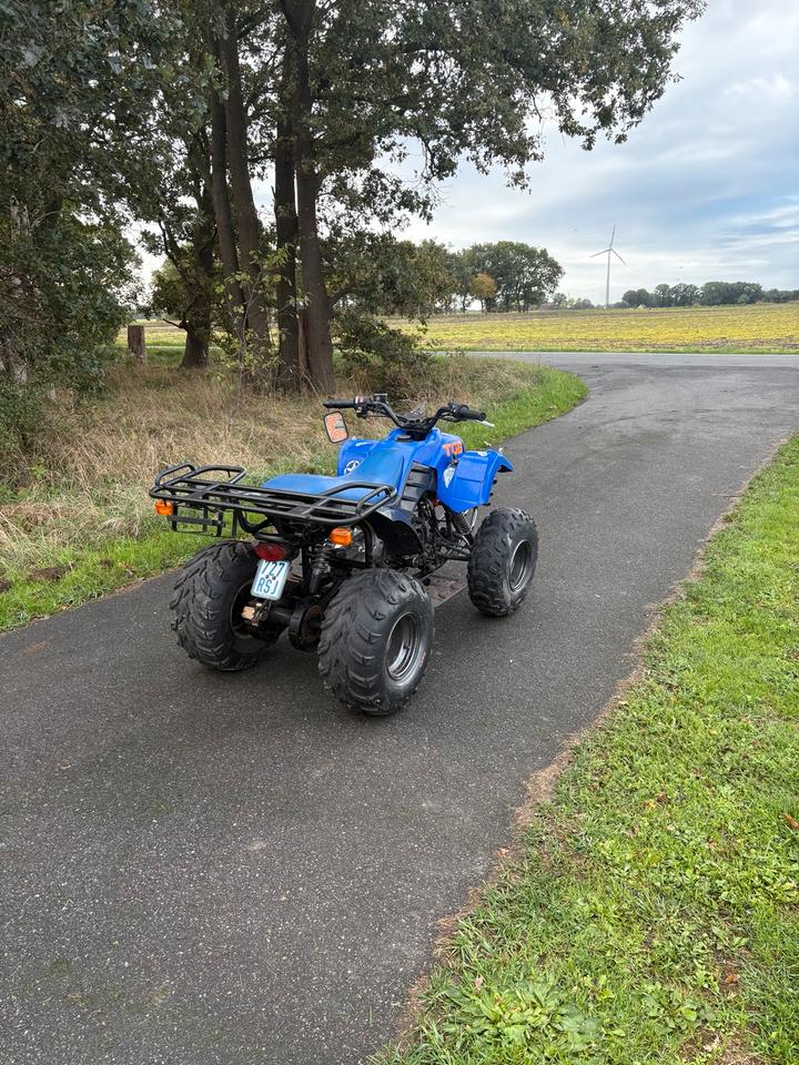 Weitere Motorräder Pegasus TGB Hornet 50ccm Quad ATV Mit Papiere Klasse AM 2004 — interior
