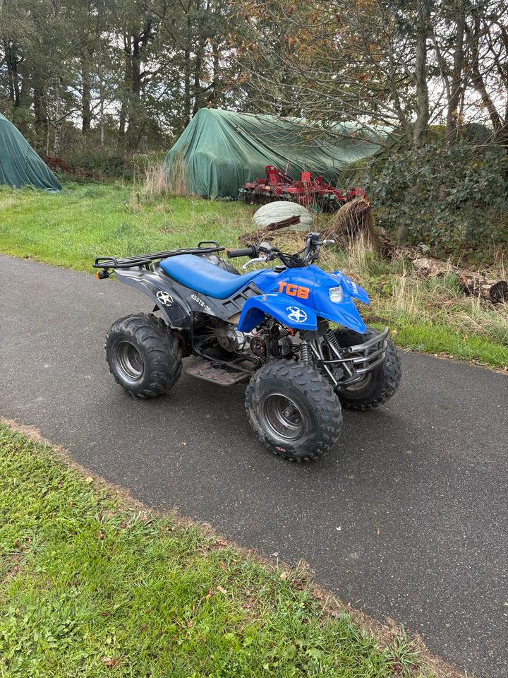 Weitere Motorräder Pegasus TGB Hornet 50ccm Quad ATV Mit Papiere Klasse AM 2004 — engine 50 ccm