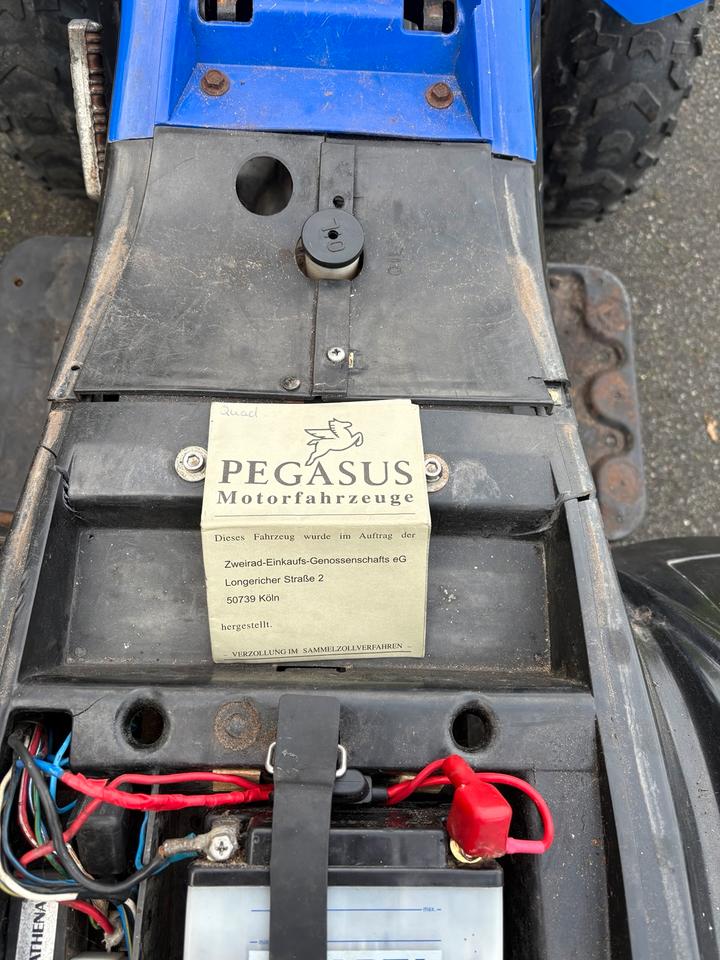 Weitere Motorräder Pegasus TGB Hornet 50ccm Quad ATV Mit Papiere Klasse AM 2004 — photo 6