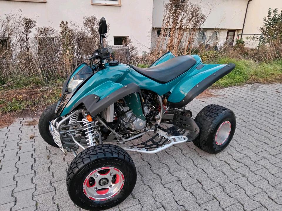 Yamaha Quad "HS 450-2 Sport" (Dinli, Masai, Cf Moto) 2009 — вигляд ззаду