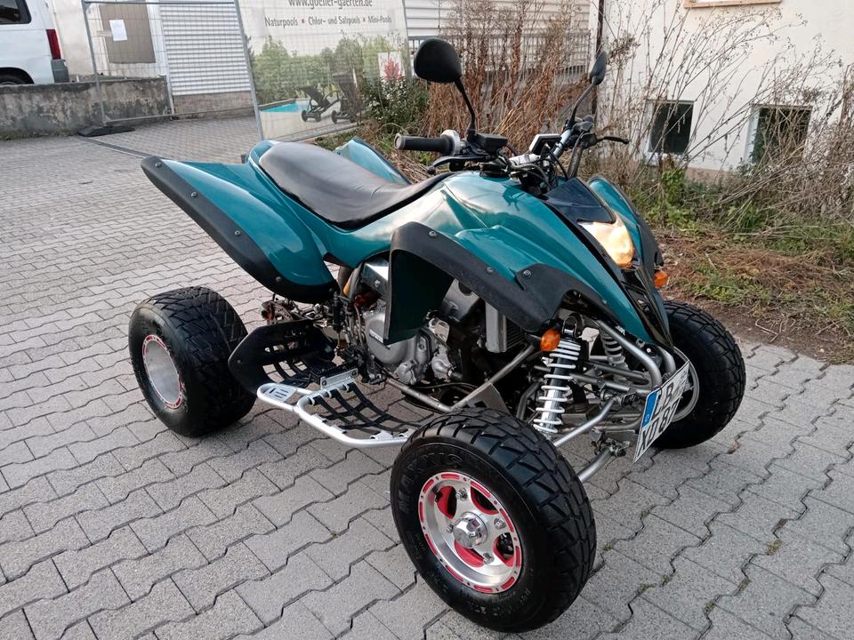 Yamaha Quad "HS 450-2 Sport" (Dinli, Masai, Cf Moto) 2009 — салон
