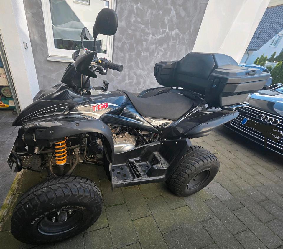 Weitere Motorräder Quad Target 325 2013 — rear view