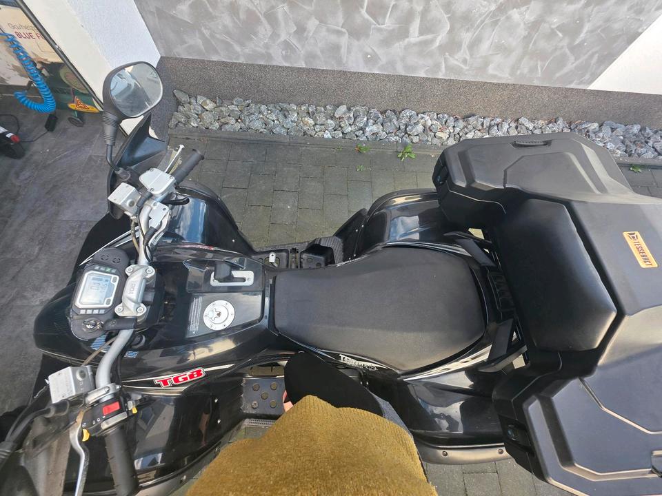 Weitere Motorräder Quad Target 325 2013 — photo 8