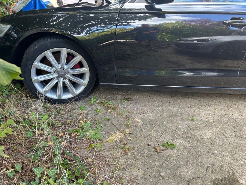 Audi A6 2011 — photo 12