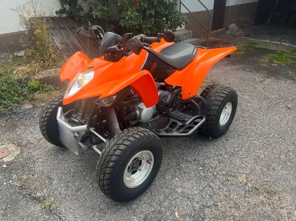 Kymco Maxxer 300 Quad 2011 — rear view