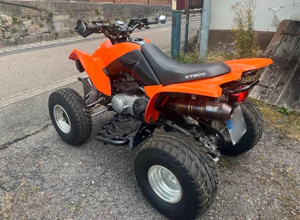 Kymco Maxxer 300 Quad 2011 — interior