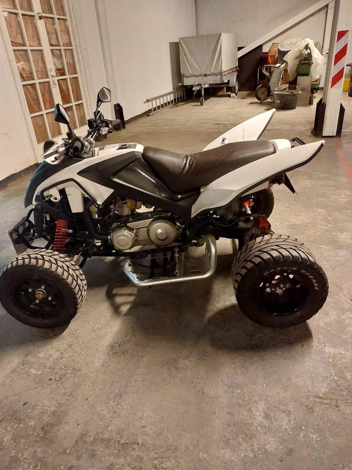  Adly Moto 320 supermoto 2015 — rear view