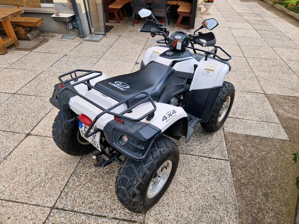 Weitere Motorräder Gelöscht • ATV-Quad von Linhai 2011 — rear view