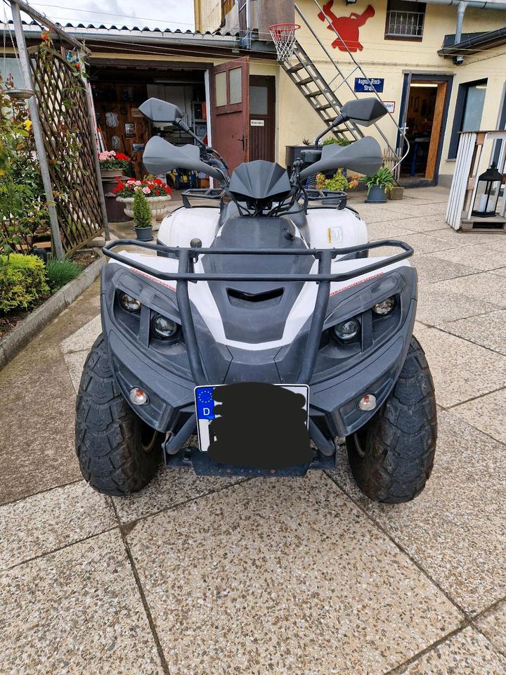 Weitere Motorräder Gelöscht • ATV-Quad von Linhai 2011 — engine 352 ccm
