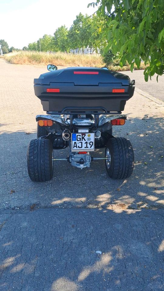 Kawasaki Gelöscht • Kawasaki Kfx 700 Limited Edition 2005 — вигляд ззаду