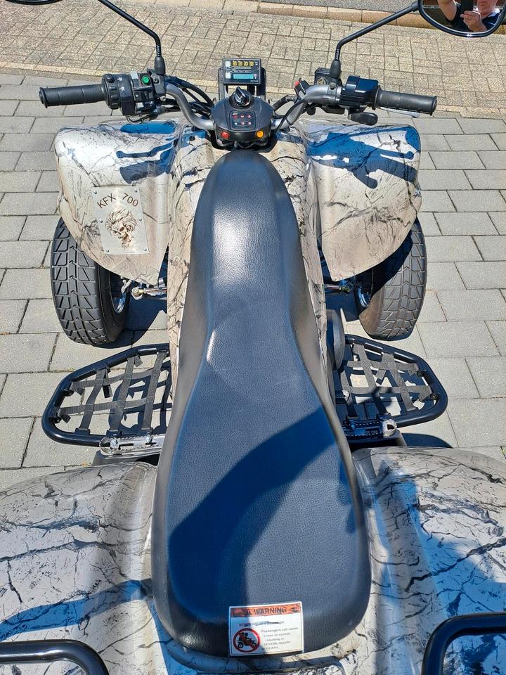 Kawasaki Gelöscht • Kawasaki Kfx 700 Limited Edition 2005 — фото 6
