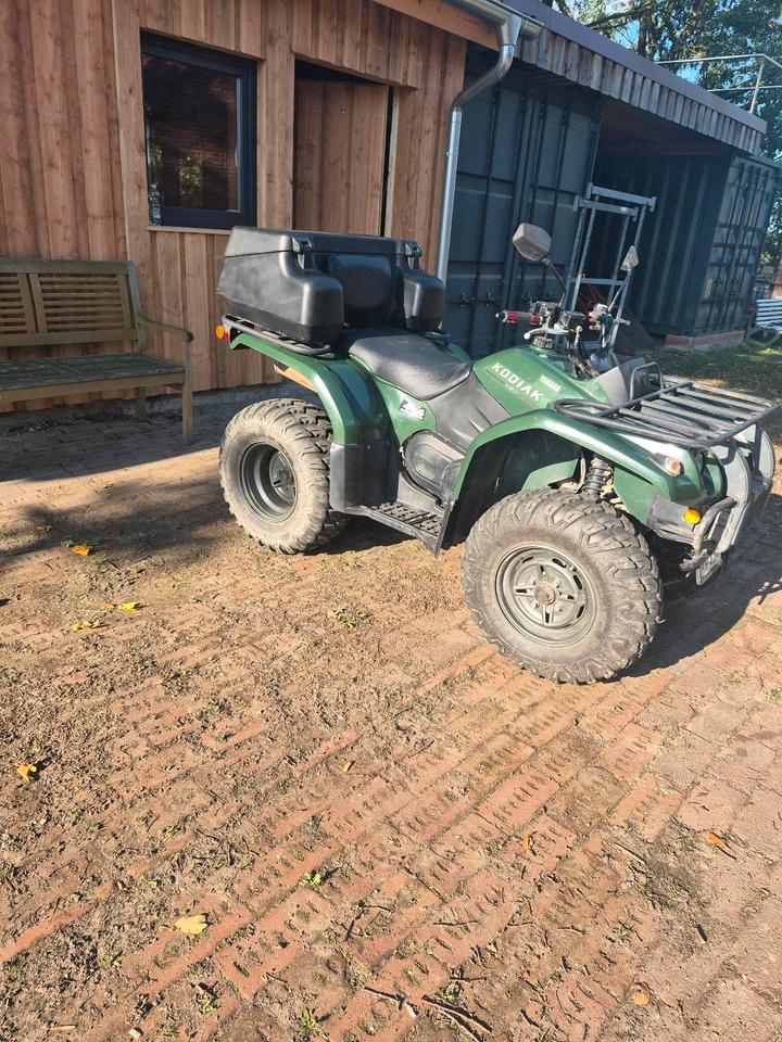 Yamaha Kodiak 450 4x4 atv 2007 — rear view