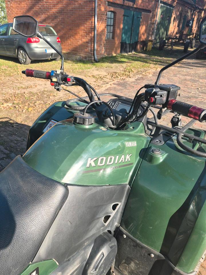 Yamaha Kodiak 450 4x4 atv 2007 — interior