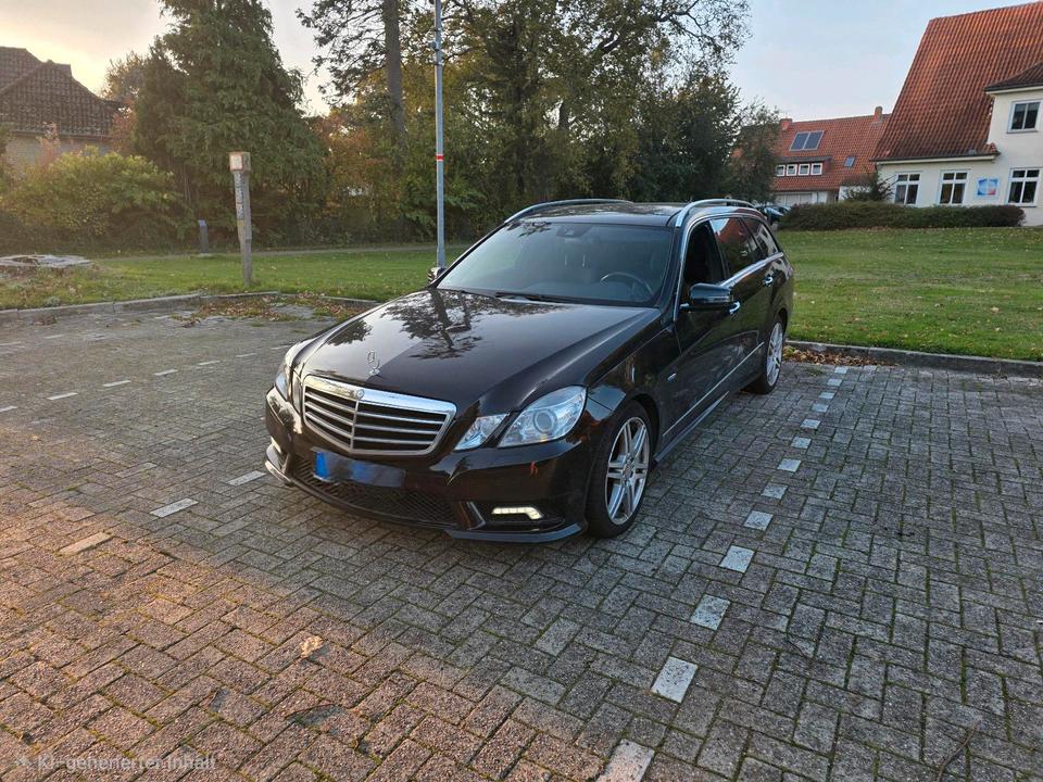 Mercedes Benz E 350 2009 — rear view