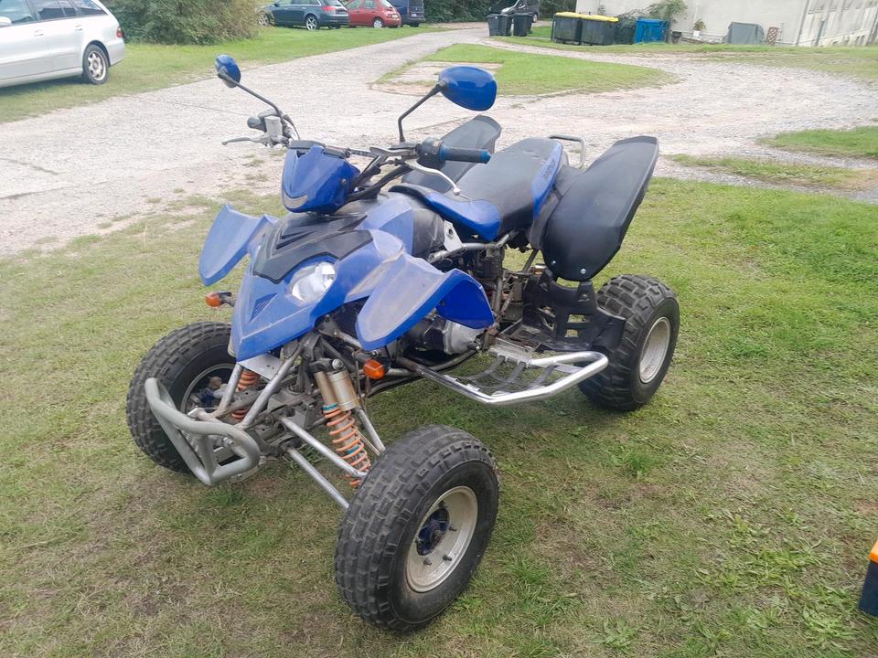 Weitere Motorräder Gelöscht • Verkauf Tausch Bashan Quad 300ccm 2011 — авто для ЗСУ з Європи
