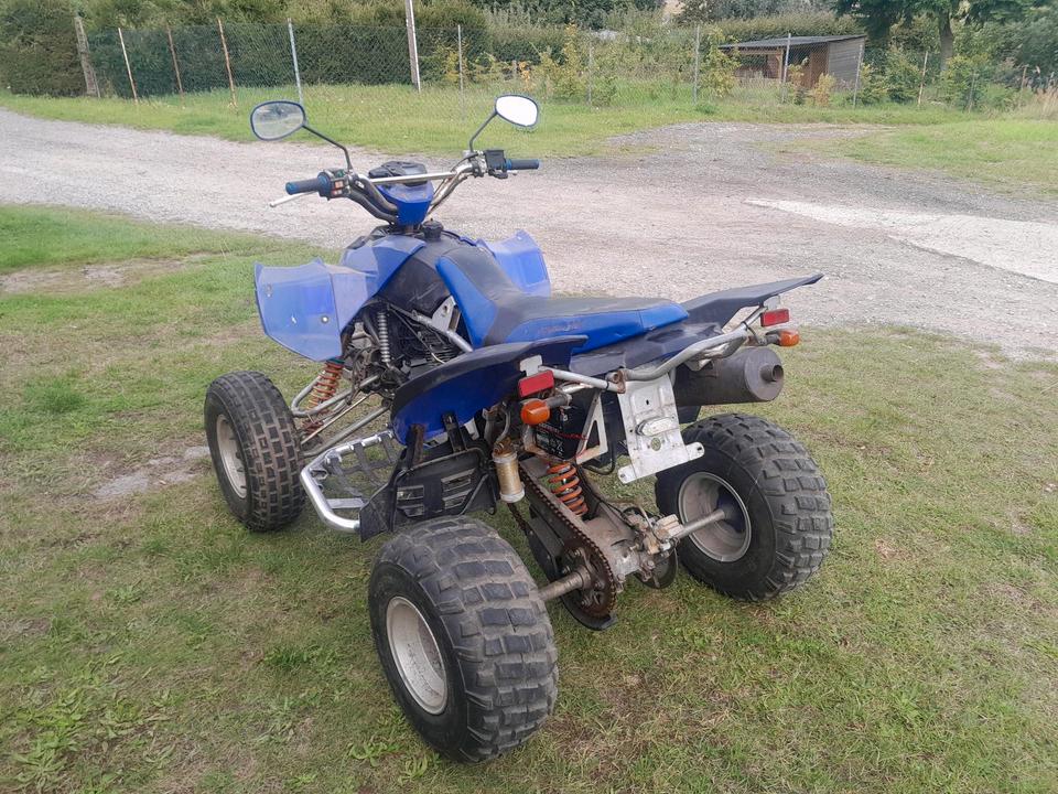 Weitere Motorräder Gelöscht • Verkauf Tausch Bashan Quad 300ccm 2011 — салон