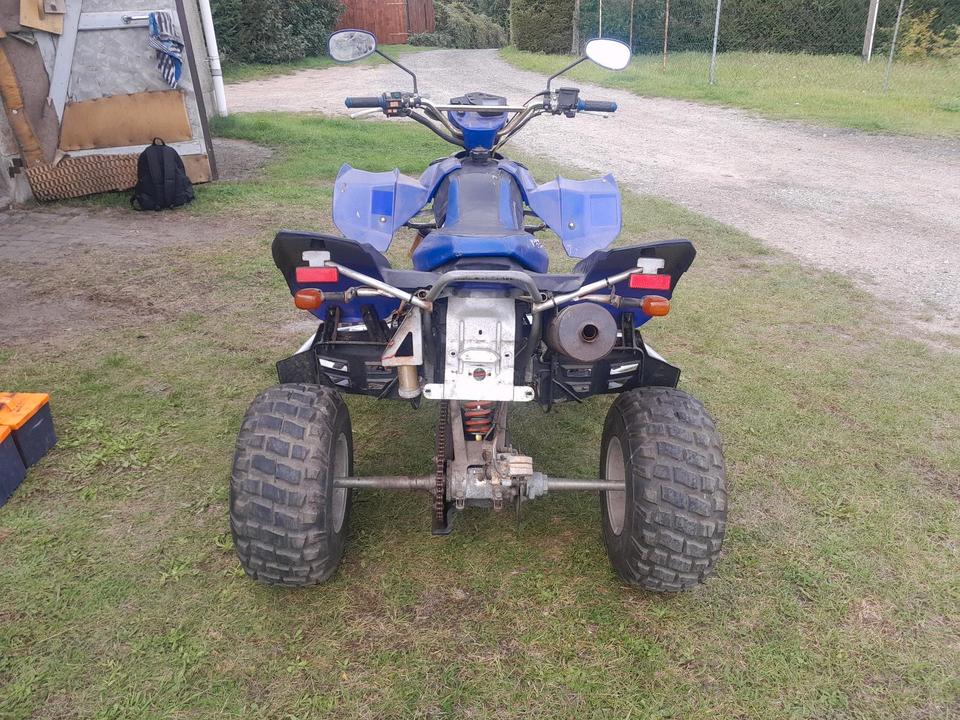 Weitere Motorräder Gelöscht • Verkauf Tausch Bashan Quad 300ccm 2011 — двигун 300 ccm