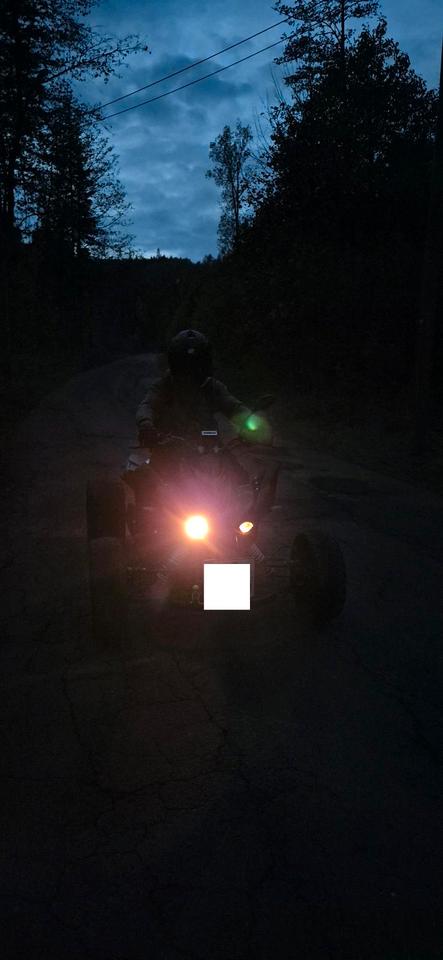 Weitere Motorräder Quad 250ccm 2015 — photo 11