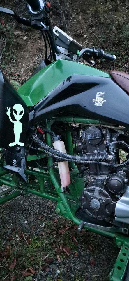 Weitere Motorräder Quad 250ccm 2015 — photo 8