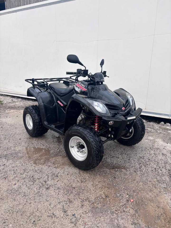 Kymco MXU 250 Quad ATV 2014 — вигляд ззаду