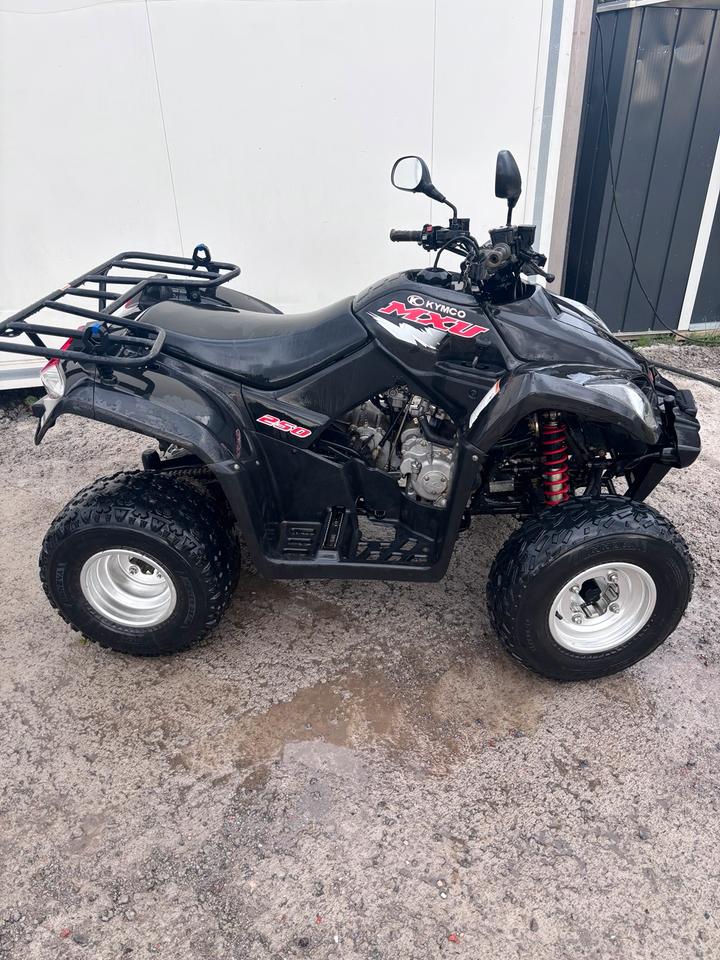 Kymco MXU 250 Quad ATV 2014 — двигун 249 ccm