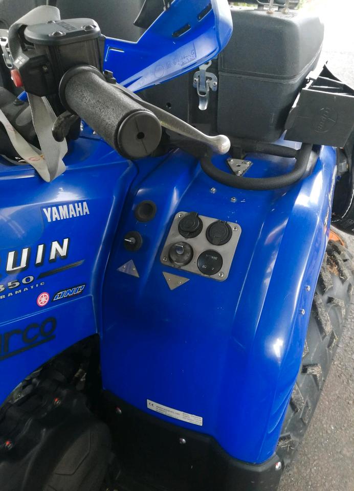 Yamaha Quad Yamaha YFM 350 Bruin Allrad 2005 — photo 6