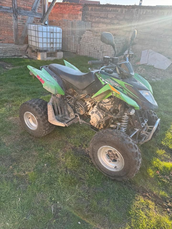  Arctic CAT DVX 250 Quad 2009 — вигляд ззаду