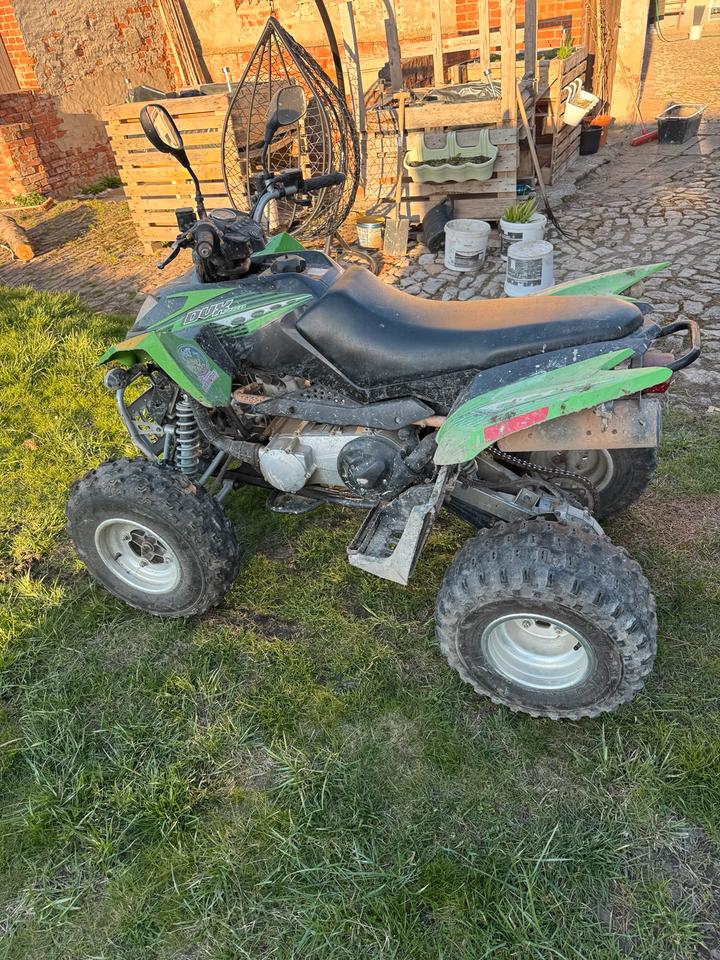  Arctic CAT DVX 250 Quad 2009 — салон