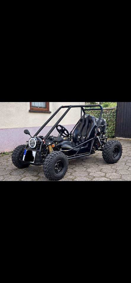 Weitere Motorräder Adly Buggy 125 Quad TÜV neu komplett überholt 8-fach bereift 2012 — авто для ЗСУ з Європи