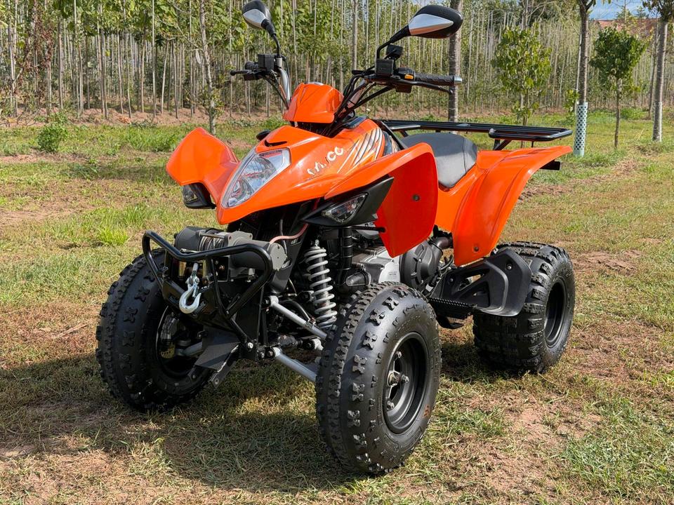 Kymco QUAD/ATV KYMCO MAXXER 300*SCHNESCHILD*SEILWINDE*AHK 2008 — салон